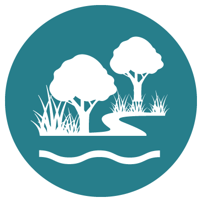 Waterway conditions - Vegetation