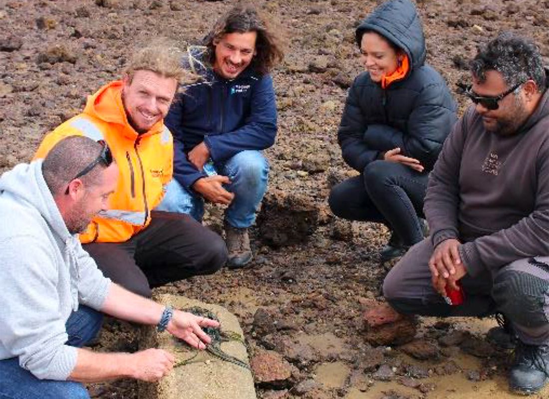 Western Port sea grass site visit