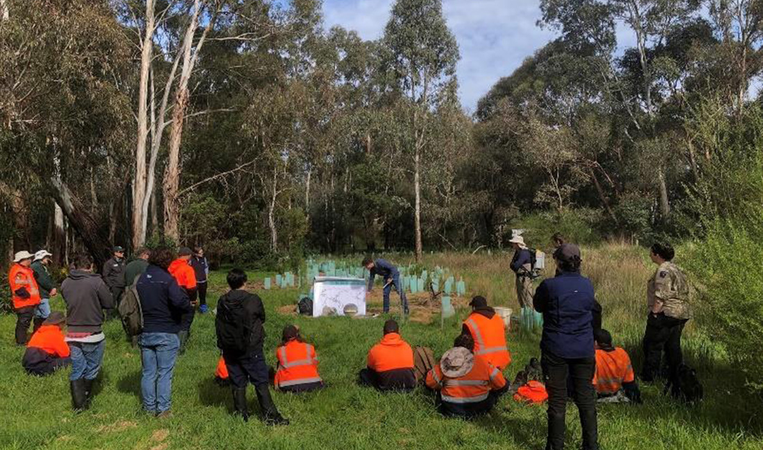 Narrap Ranger with Melbourne Water and Melbourne University at Birrarung wetlands