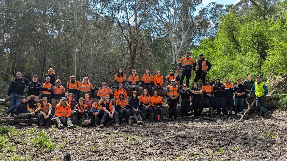 People gathered in forest