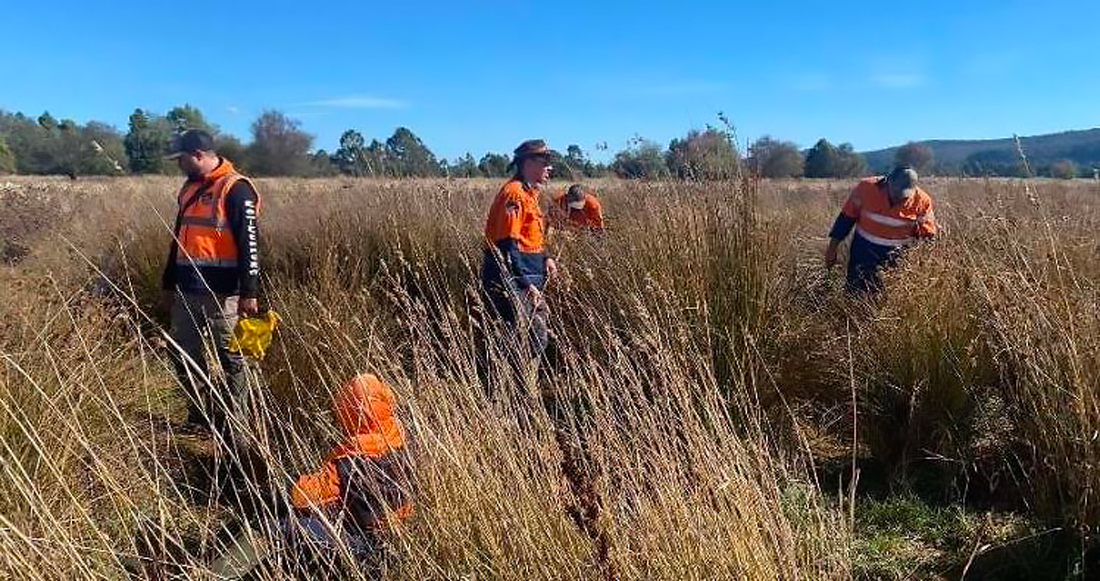 Birrarung Rangers setting up vegetation plots 