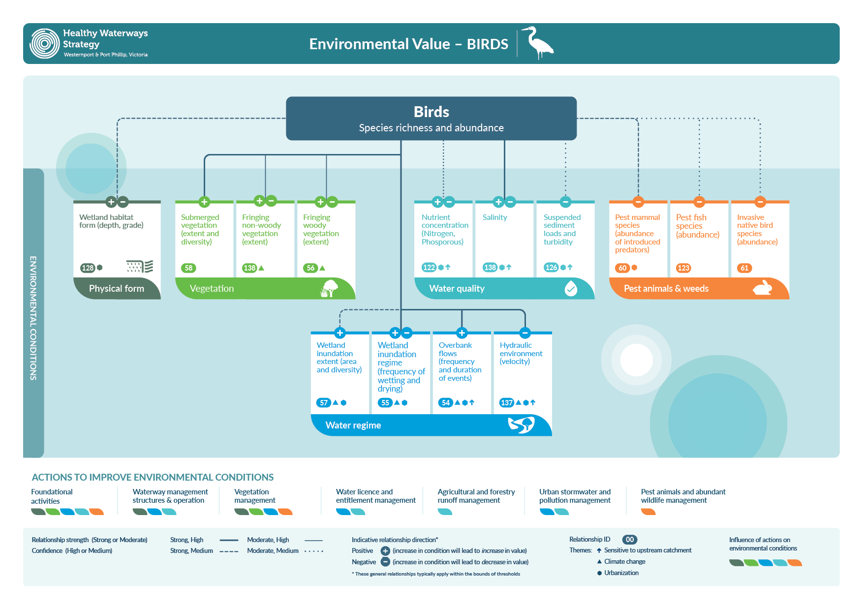 Conceptual diagram of key environmental value - Birds