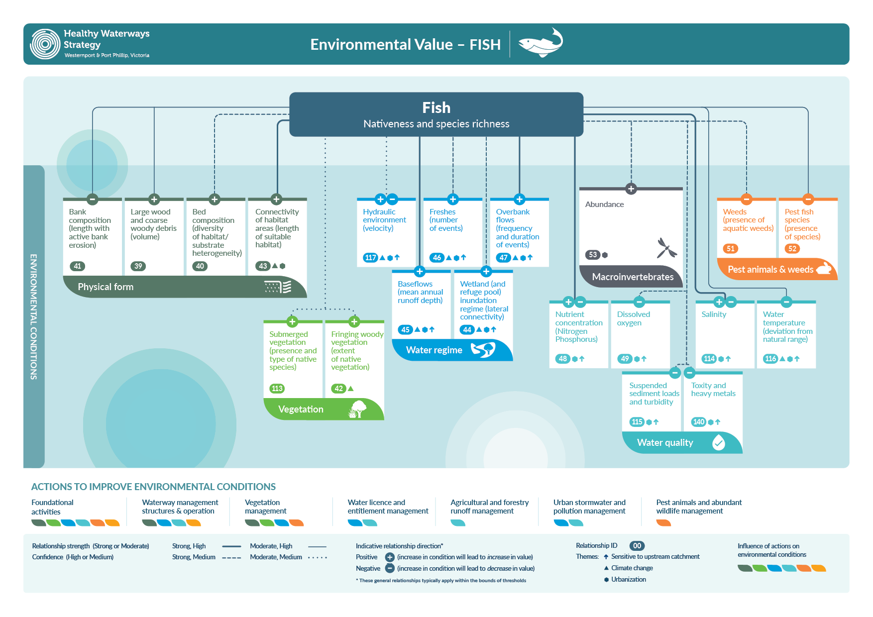 Conceptual diagram of key environmental value - Fish