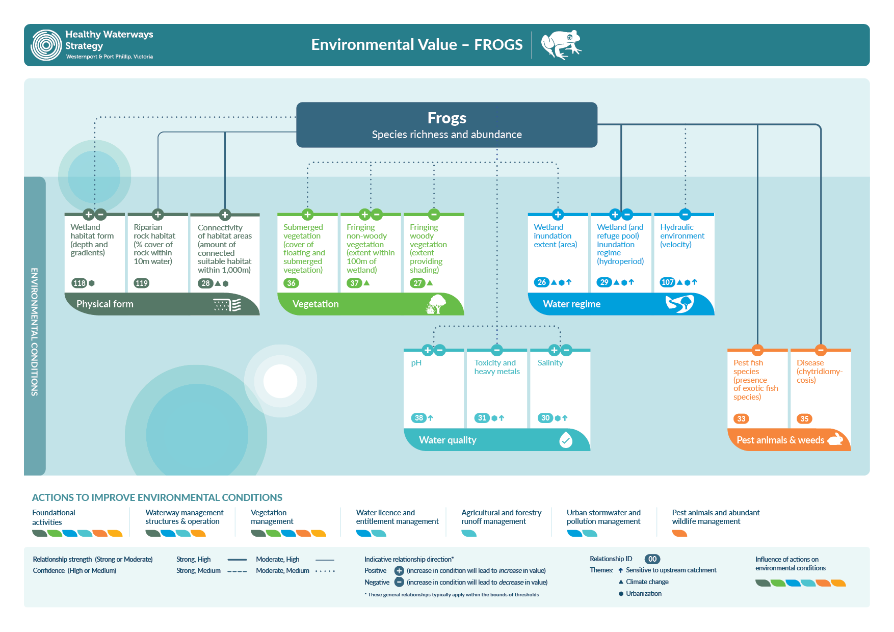 Conceptual diagram of key environmental value - Frogs