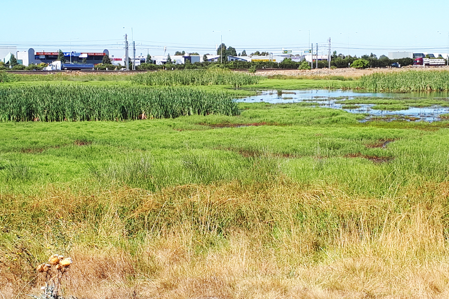 Laverton RAAF Swamp