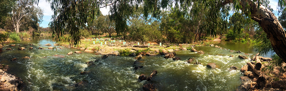 Fishway in the lower Werribee River