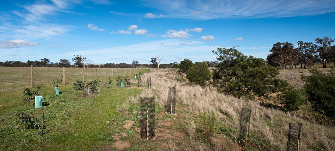 Rural land management helps improve macroinvertebrate habitat