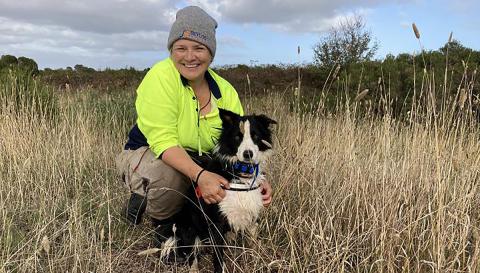Melbourne Water’s new employee – Raasay the Spartina sniffer dog who is trained to identify remaining patched of the weed species Spartina in Westernport. 